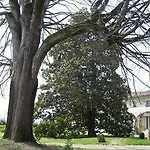 Chateau De Puyrigaud Léoville