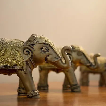 Frühstückspension Chateau De Puyrigaud 4*