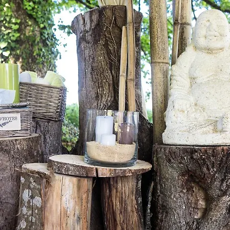 Chateau De Puyrigaud Frühstückspension