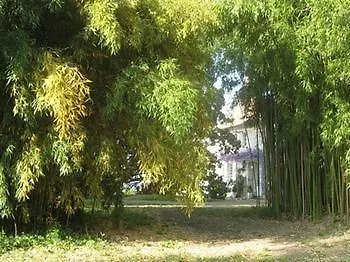 Bed & Breakfast Chateau De Puyrigaud