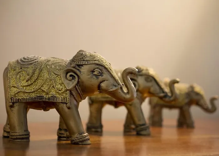 Bed & Breakfast Chateau De Puyrigaud 4*