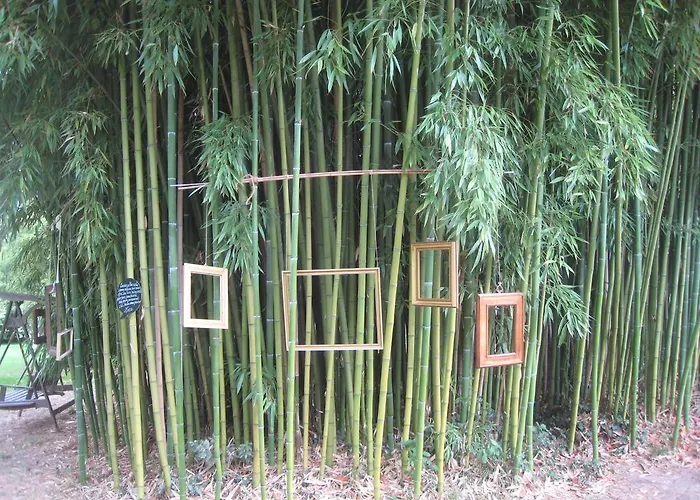 Chateau De Puyrigaud Leoville