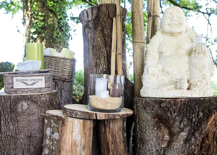 Chateau De Puyrigaud Bed & Breakfast