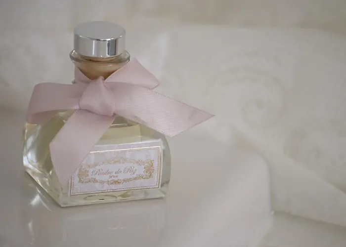 Bed & Breakfast Chateau De Puyrigaud Leoville