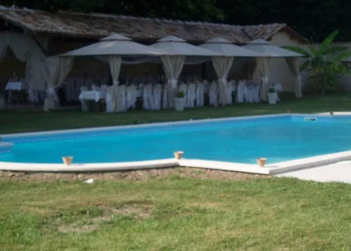 Chateau De Puyrigaud Bed & Breakfast 4*